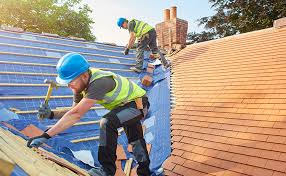 Best Emergency Roof Repair Services  in Shackle Island, TN